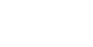 Baradari International