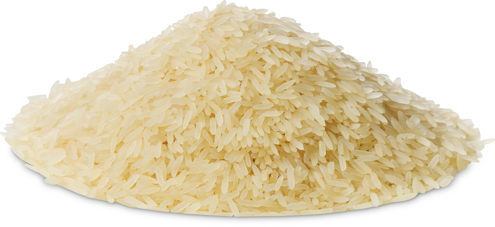 Rice Exports